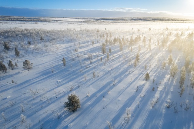 Talviselt lumine Svalbardi mets ja maastik, Norra