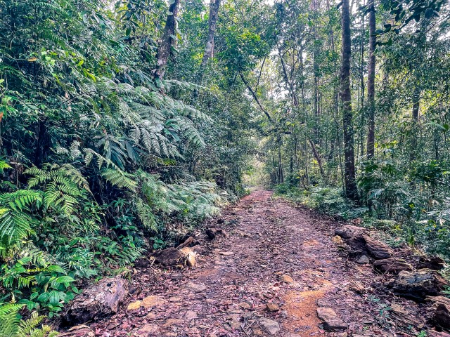 Wilpattu rahvuspark Sri Lankal