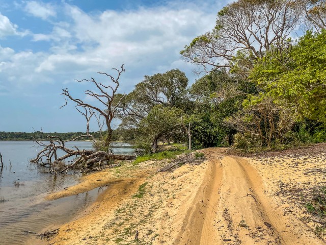 Liivane maastik veekoguga Wilpattu rahvuspargis Sri lankal