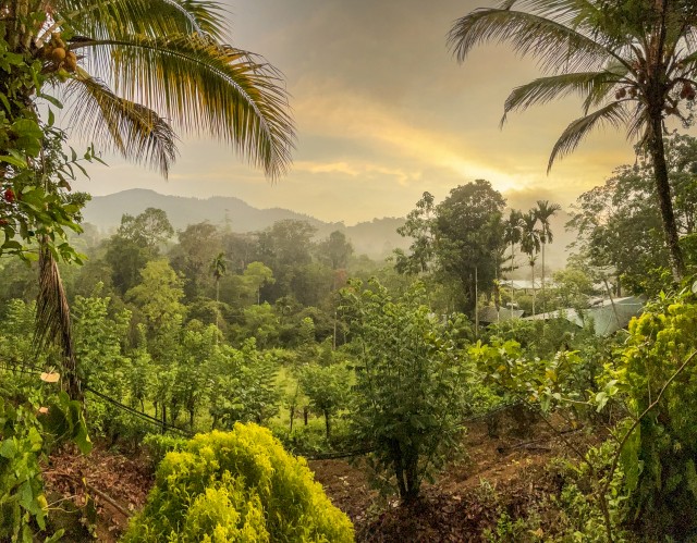 Sri Lanka troopiline maastik