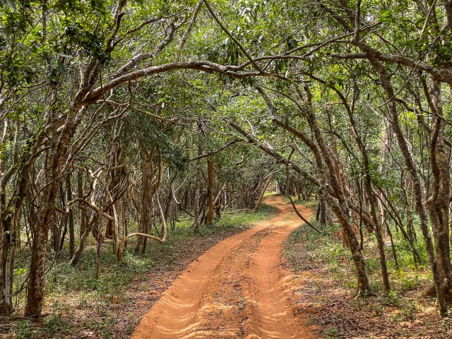 Kruusatee Wilpattu rahvuspargis Sri Lankal