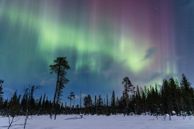 Virmalised öises Varangeri taevas, Norra