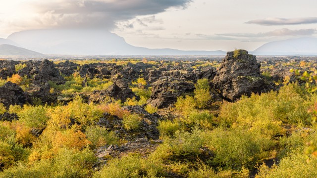 Dimmuborgiri laavaväli, Island