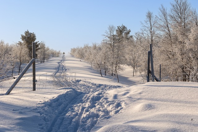 Tee üle lumise Lapimaa maastiku, Soome