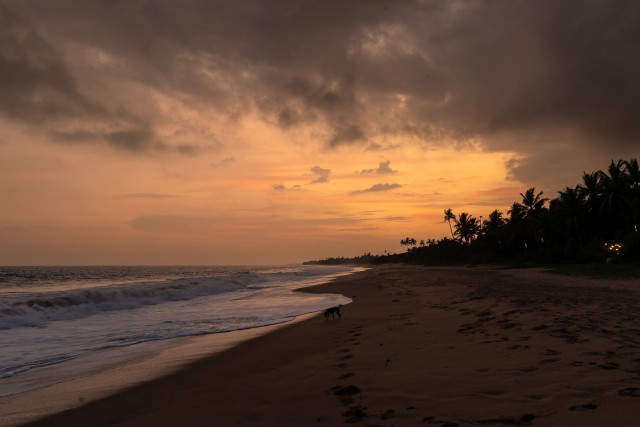 Kaunis päikeseloojang Sri Lanka rannikul