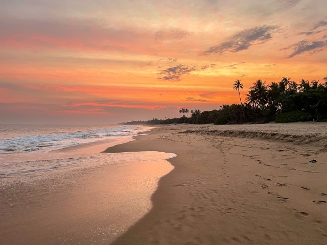 Päikeseloojang, palmid ja liivane Sri Lanka rand