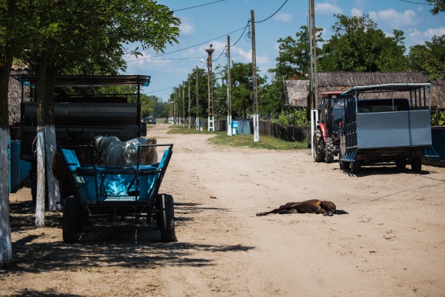 Vaikelu Mila 23 külas Rumeenias