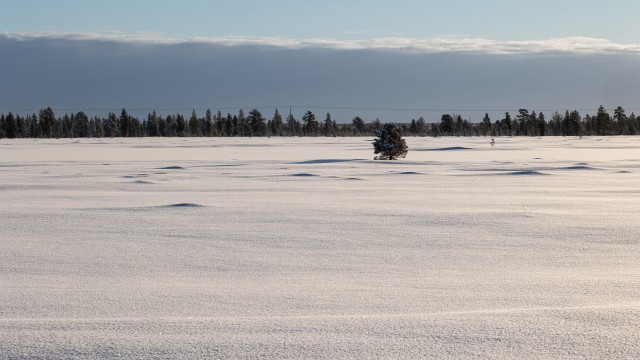 Panoraamvaade lumisele Lapimaa tundra maastikule Soomes
