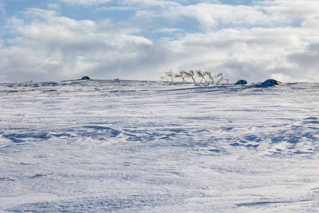 Talviselt lumine Svalbardi maastik, Norra