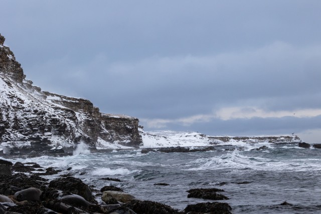 Talviselt jäine ookean