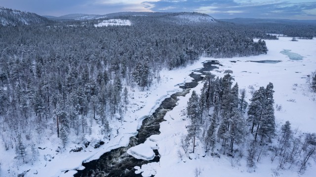 Droonivaade talviselt lumisele Lapimaa ürgmetsale ja jõele Soomes