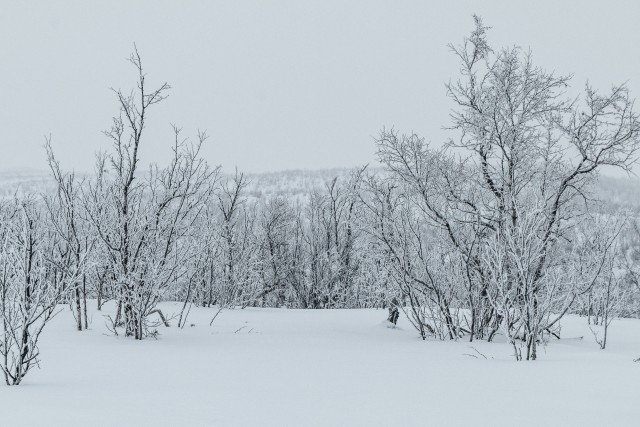 Talvine maastik Nellimi küla lähedal Põhja-Soomes